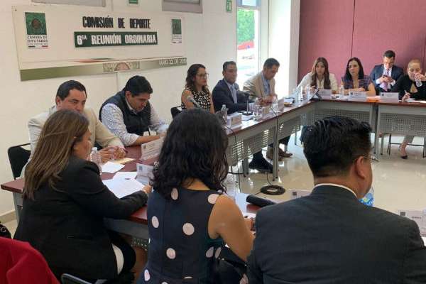 La Comisión de Deporte de la Cámara de Diputados validó opinión del Plan Nacional de Desarrollo 2019-2024. FOTO: ESPECIAL