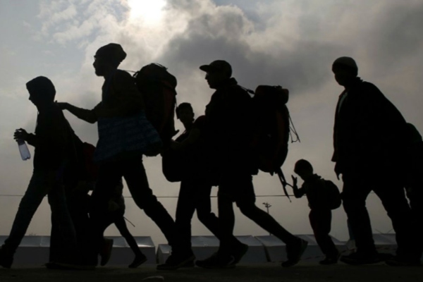 Migrantes