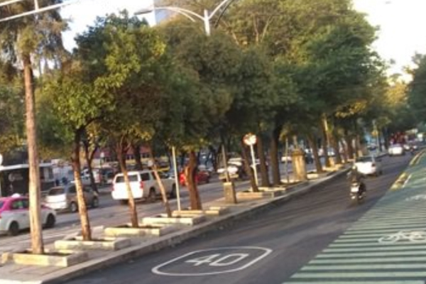 reporte_trafico_julio19