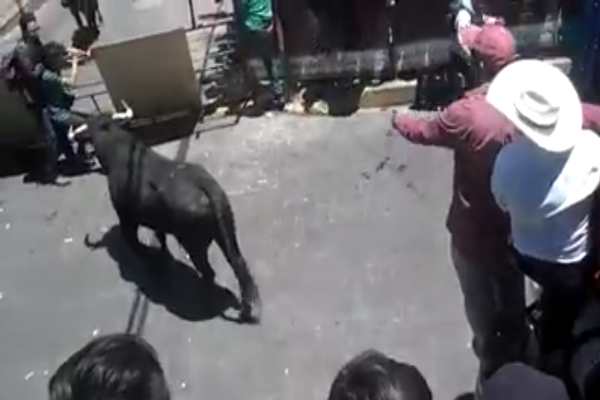 Huamantlada 2019: Toros lesionan a nueve; uno de ellos de gravedad