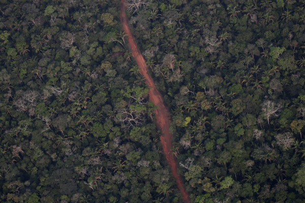 Amazonas