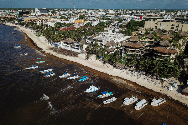 Turismo Quintana Roo Sargazo