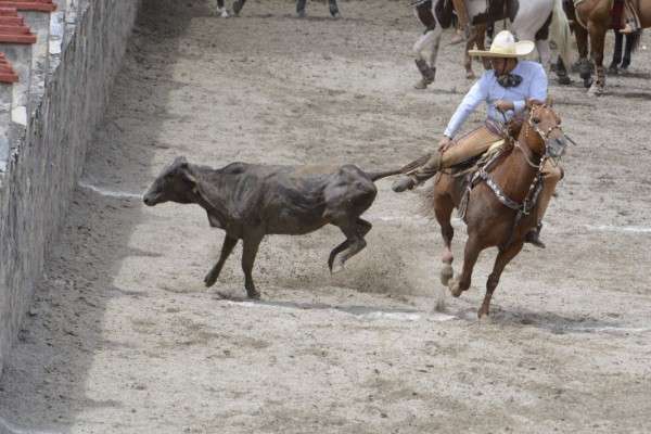 La iniciativa permite la charreria. Foto: Cuartoscuro