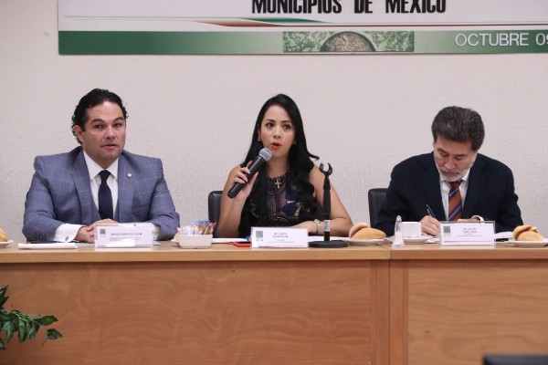 seguridad_presupuesto_presidentes_municipales_alcaldes_diputados