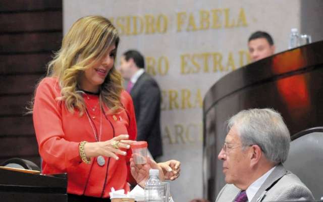REGALO. Abril Alcalá, diputada del PRD, le entregó al secretario un mosco transmisor del dengue. Foto: Especial