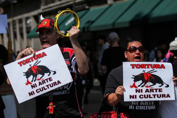 manifestaciones-marchas-domingo