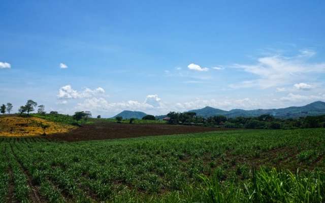 campo_tamaulipas_fondos_apoyo_maquinaria