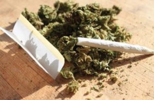 Mariguana