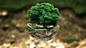 expertos debaten sobre eduacion ambiental